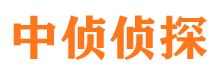 武川寻人公司